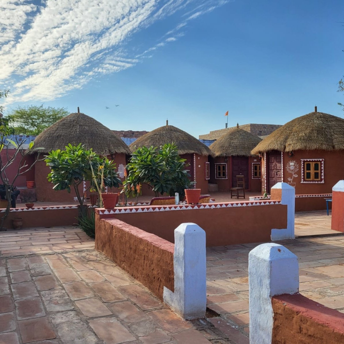 Salawas village landscape near Jodhpur