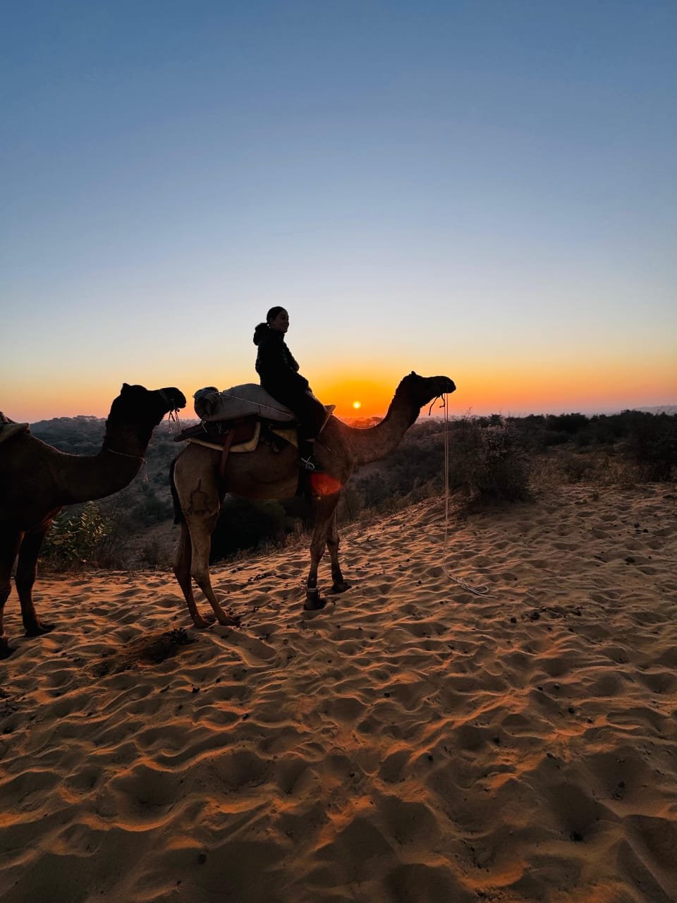 Camel safari in the Thar Desert